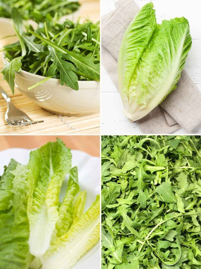 arugula vs romaine featured image